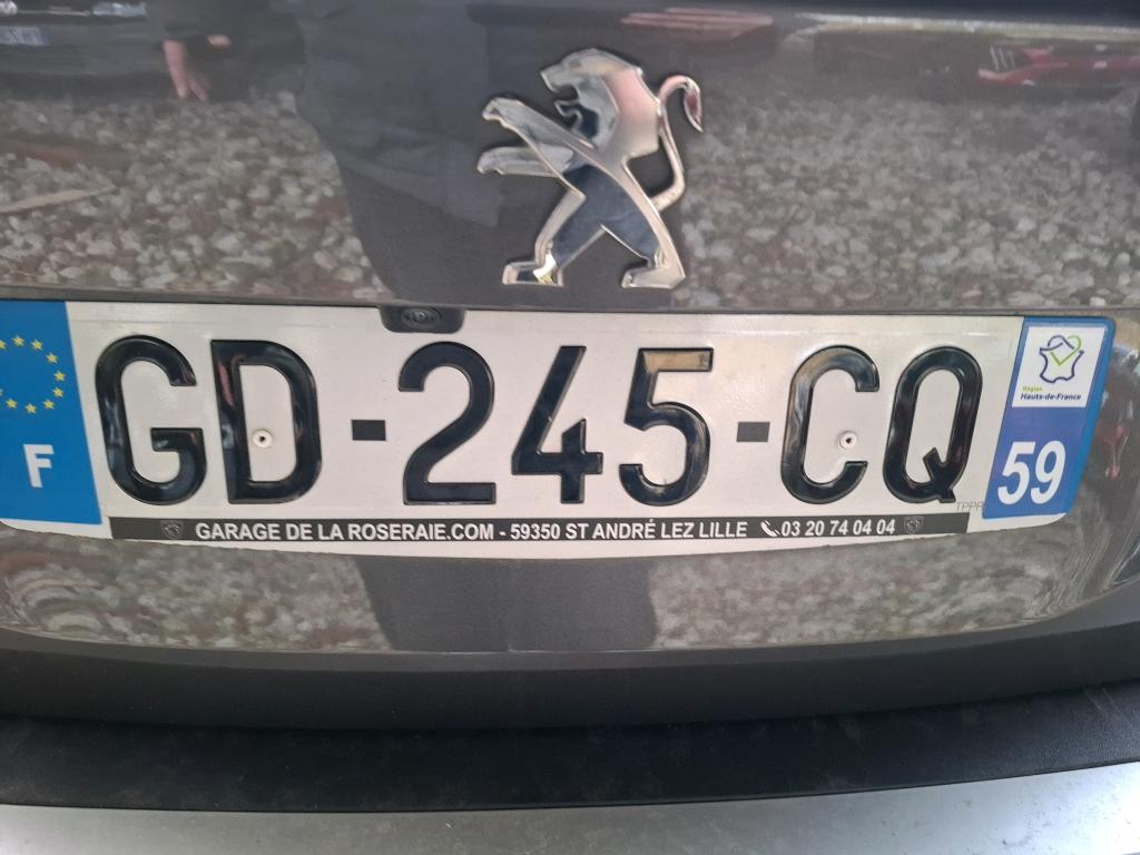 Peugeot 2008 BlueHDi 110 S&S BVM6 Active Business 2021