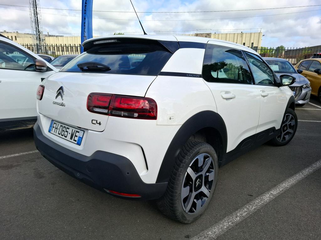 Citroen C4 Cactus BlueHDi 100 S&S BVM6 Feel 2019