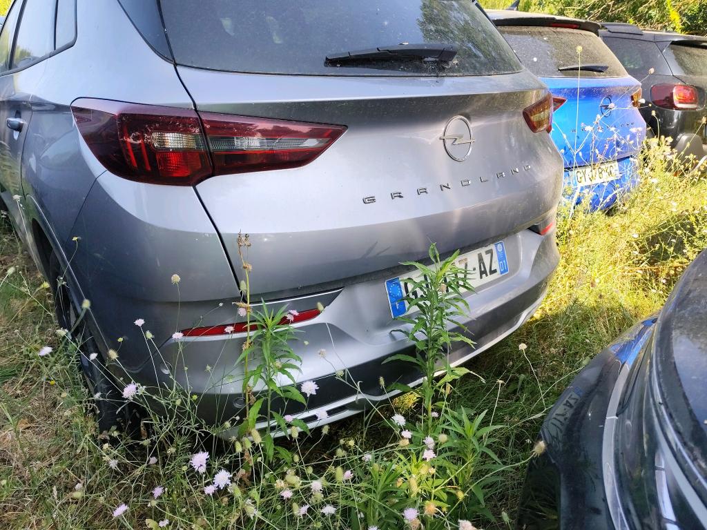 Opel Grandland 1.5 Diesel 130 ch BVA8 Elegance Business 2022