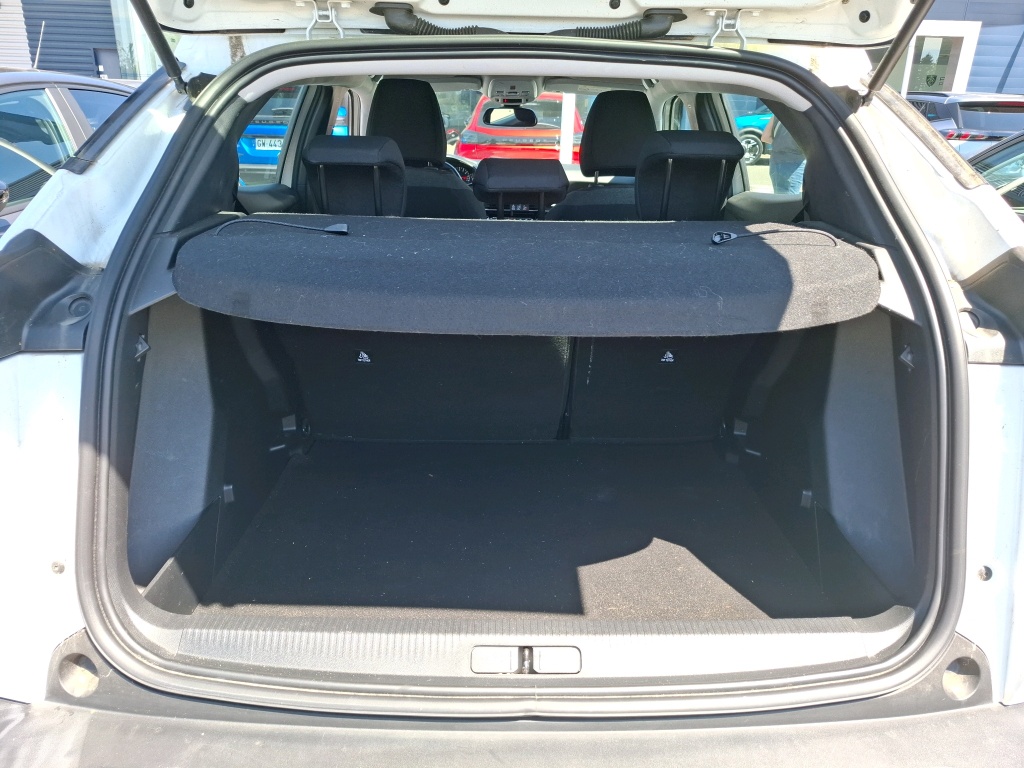 Peugeot 2008 PureTech 100 S&S BVM6 Active Business 2020