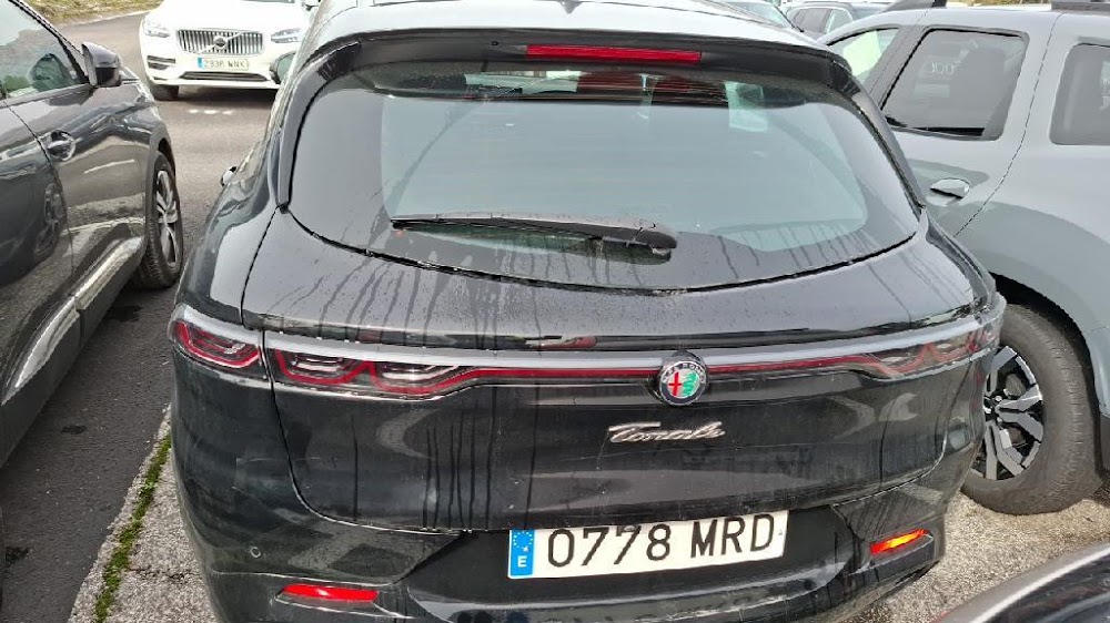 Foto Alfa Romeo Tonale 9