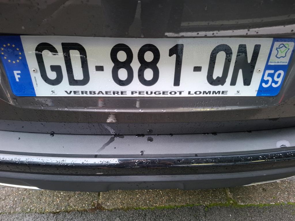 Peugeot NV 3008 SUV
