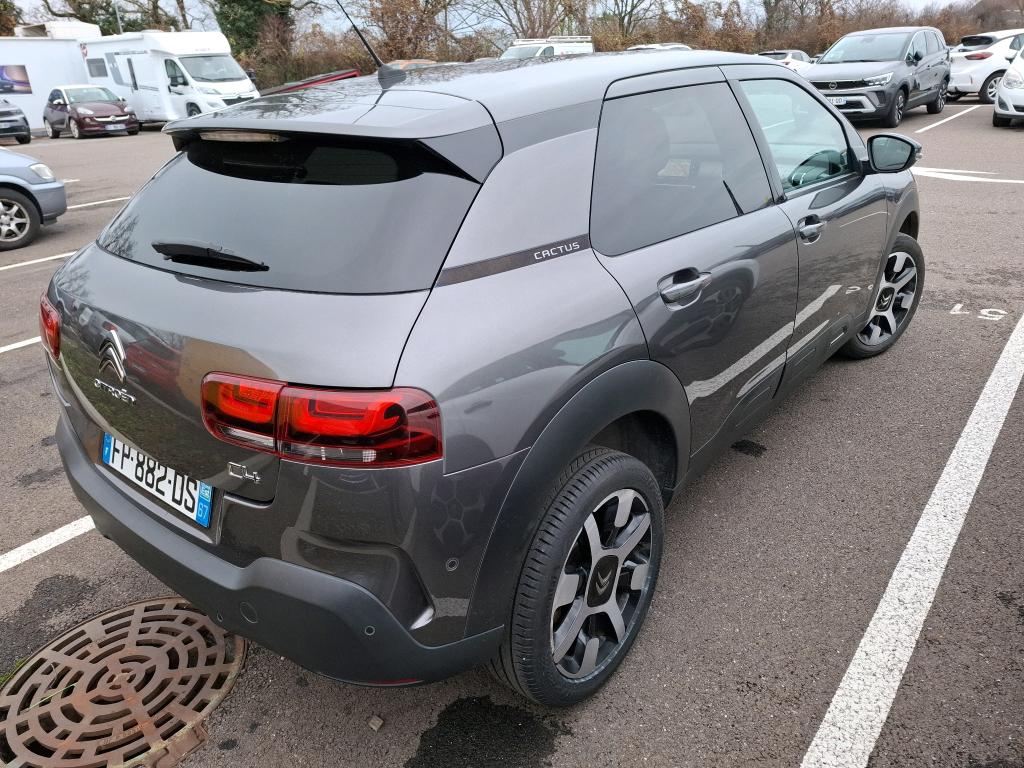 Citroen C4 Cactus BlueHDi 120 S&S EAT6 Shine Business 2020