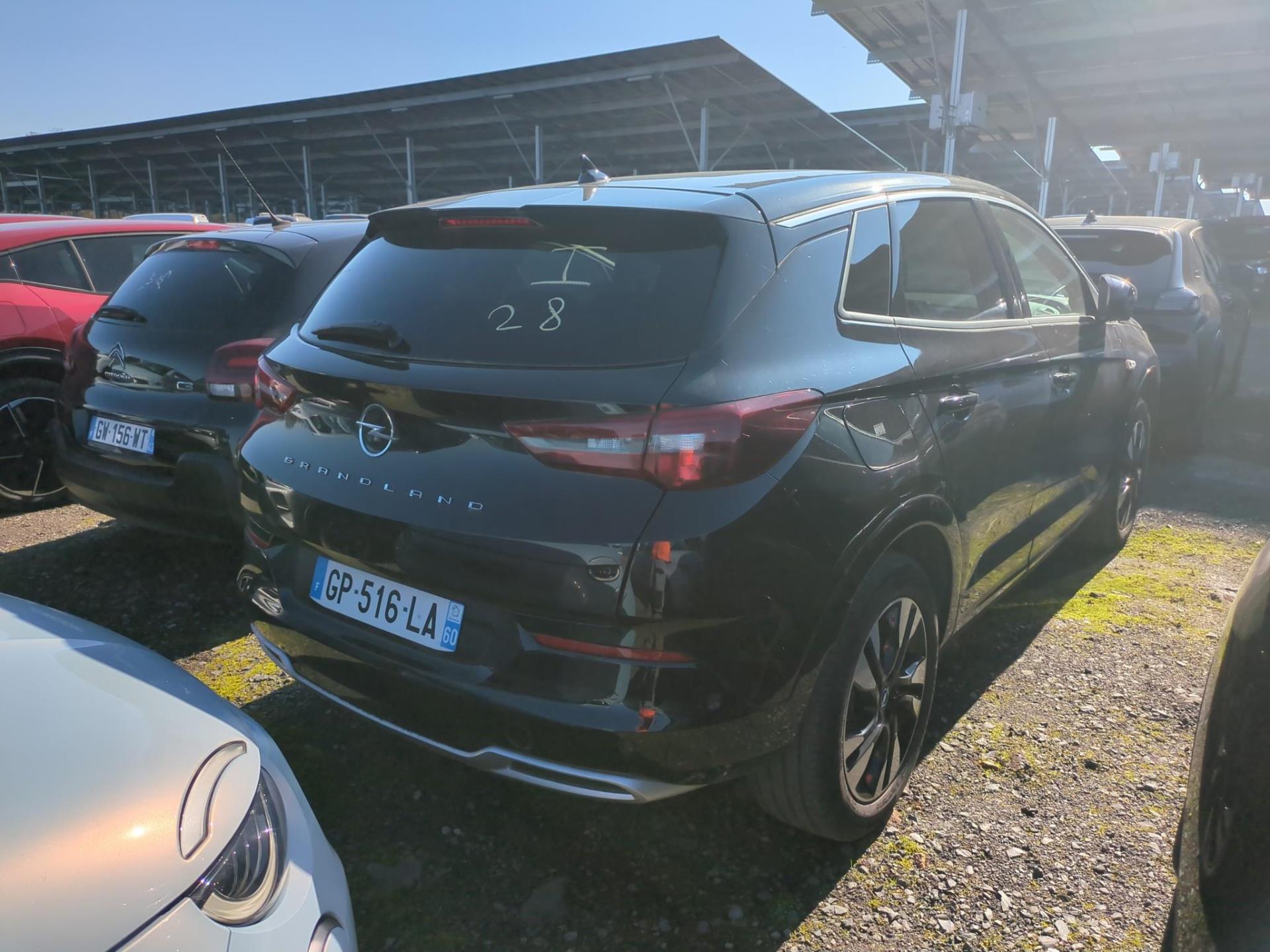 Opel Grandland 1.5 Diesel 130 ch BVA8 Elegance Business 2023