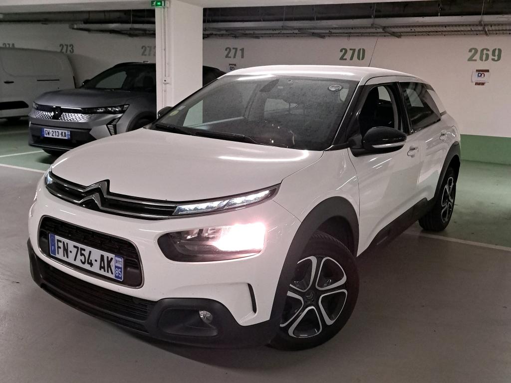 C4 CACTUS