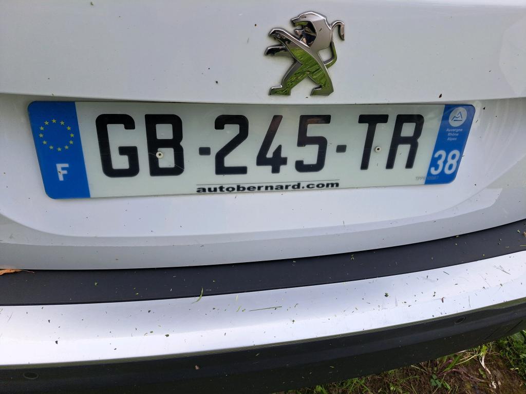 Peugeot 2008 BlueHDi 110 S&S BVM6 Active Business 2021
