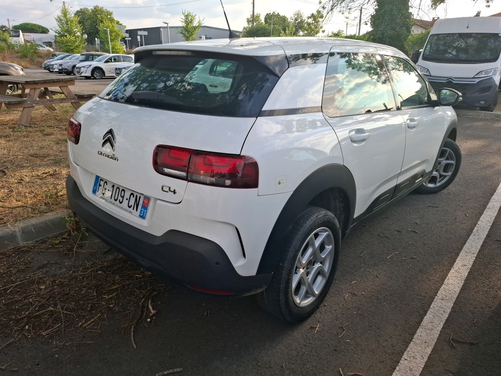 Citroen C4 Cactus BlueHDi 100 S&S BVM6 Feel 2019