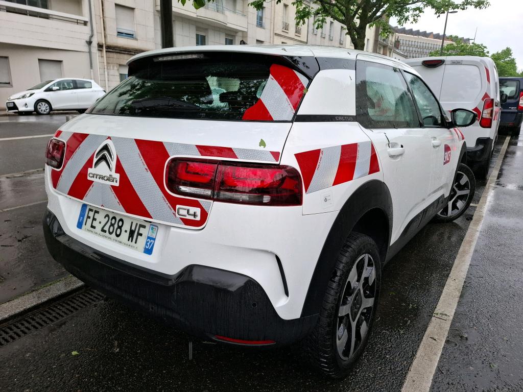 Citroen C4 Cactus BlueHDi 100 S&S BVM6 Feel 2019