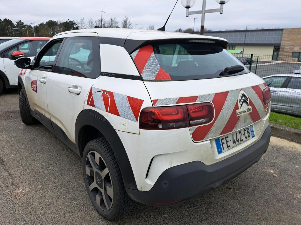 Citroen C4 Cactus BlueHDi 100 S&S BVM6 Feel 2019
