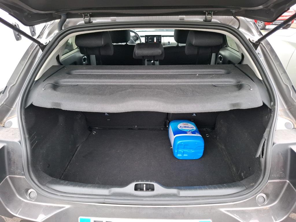 Citroen C4 Cactus BlueHDi 100 S&S BVM6 Shine 2020