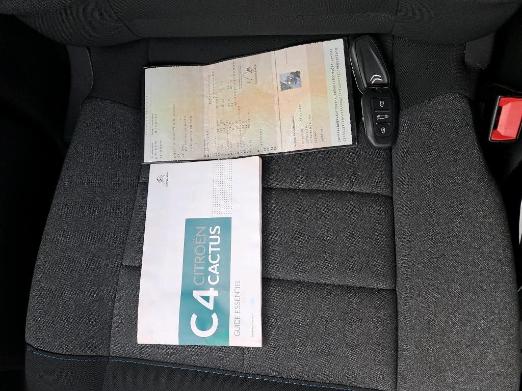 Citroen C4 Cactus BlueHDi 100 S&S BVM6 Shine Business 2019