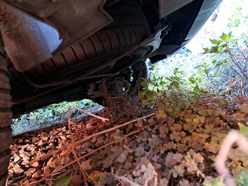 Citroen BERLINGO VAN M 1000 BLUEHDI 130 S&S EAT8 DRIVER 2021