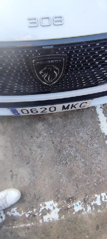 Foto Peugeot E-308 4