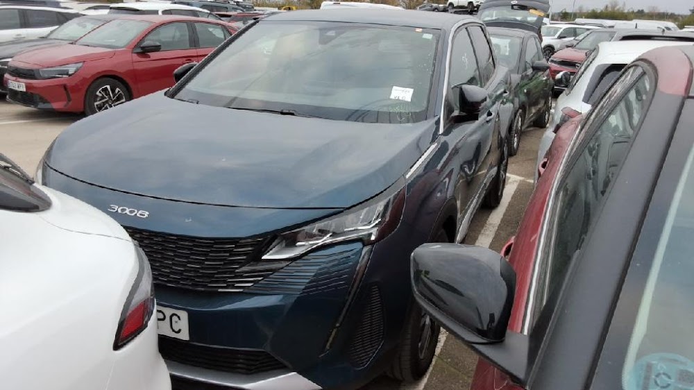 Foto Peugeot 3008 4