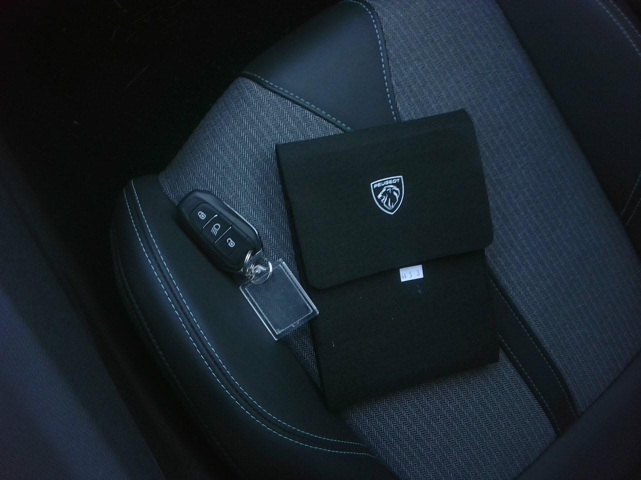 Foto Peugeot 3008 6