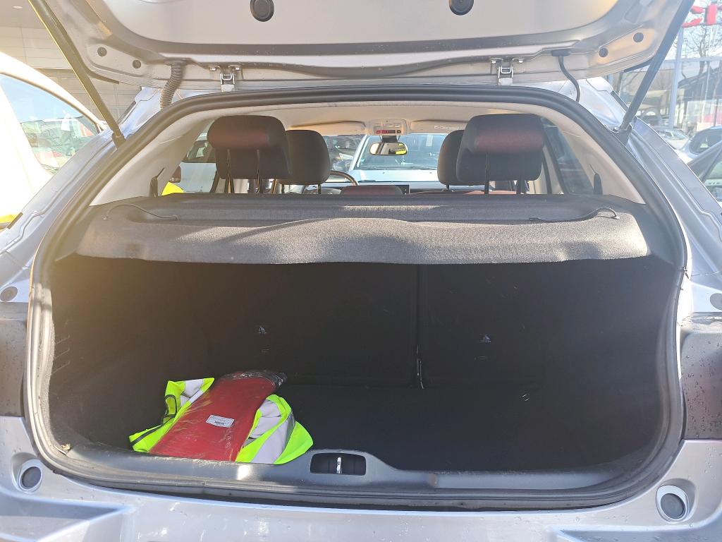 Citroen C4 Cactus BlueHDi 100 S&S BVM6 Shine Business 2020