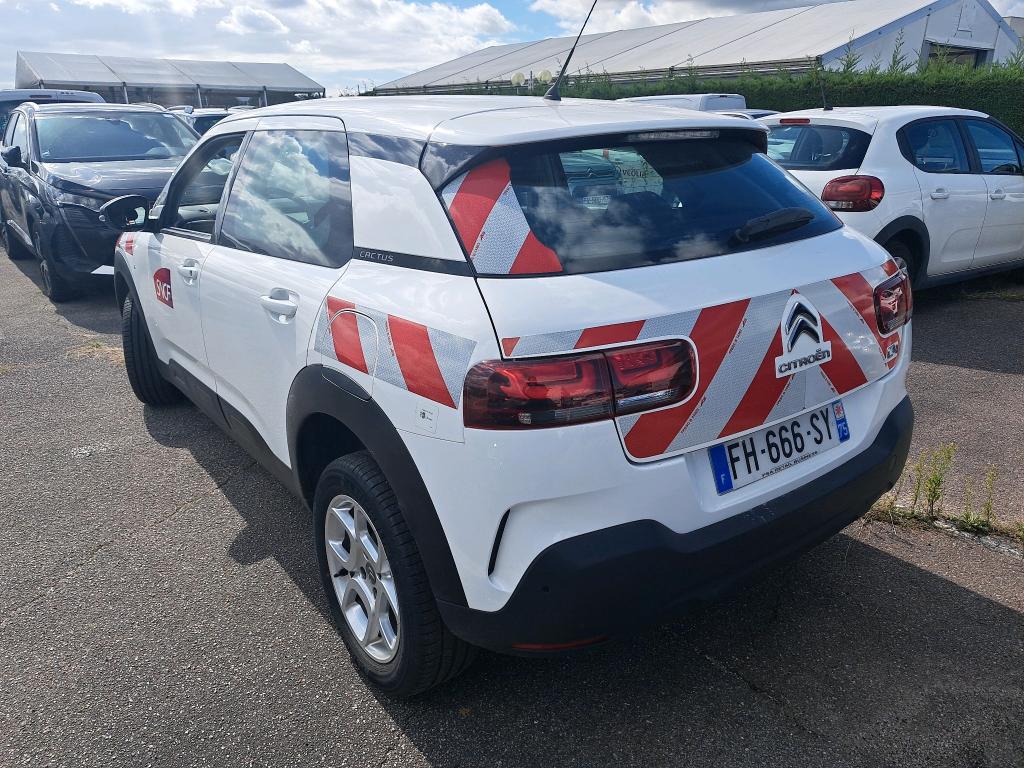 Citroen C4 Cactus BlueHDi 100 S&S BVM6 Feel 2019