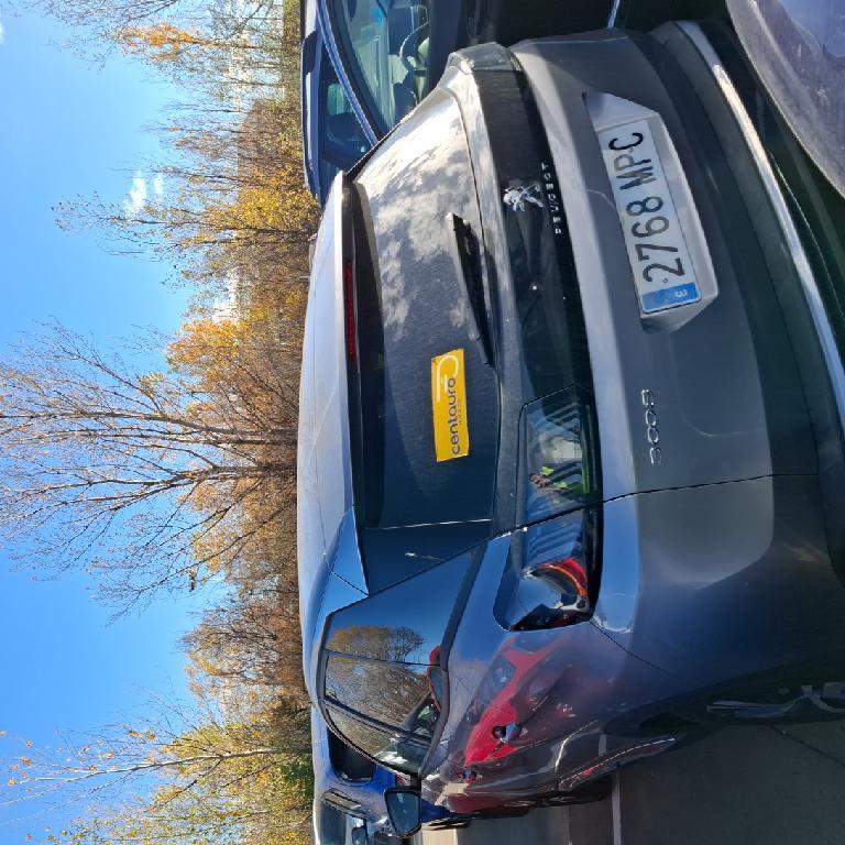Foto Peugeot 3008 7