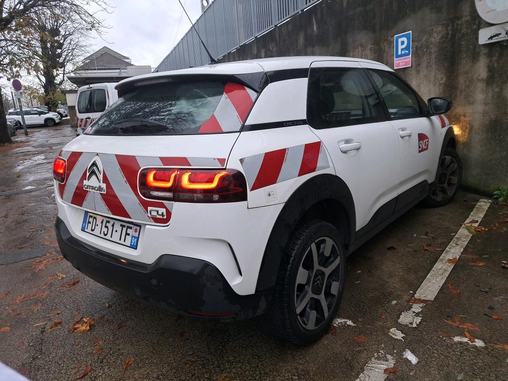 Citroen C4 Cactus PureTech 110 S&S BVM6 Feel 2019