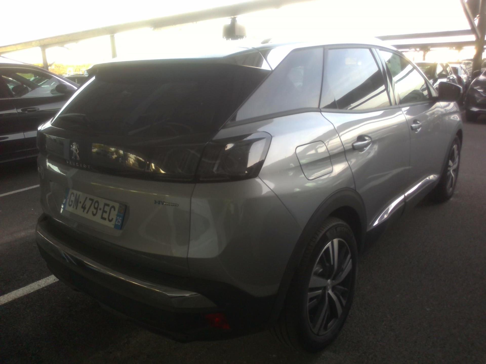 Peugeot NV 3008 SUV 