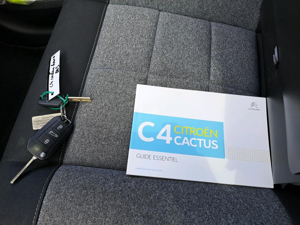Citroen C4 Cactus PureTech 110 S&S EAT6 Origins 2019