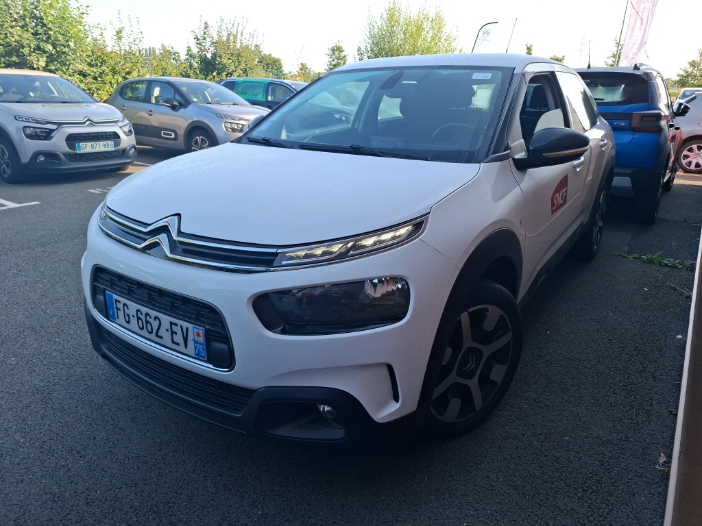 C4 CACTUS