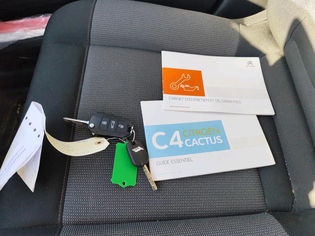 Citroen C4 Cactus BlueHDi 100 S&S BVM6 Feel 2019