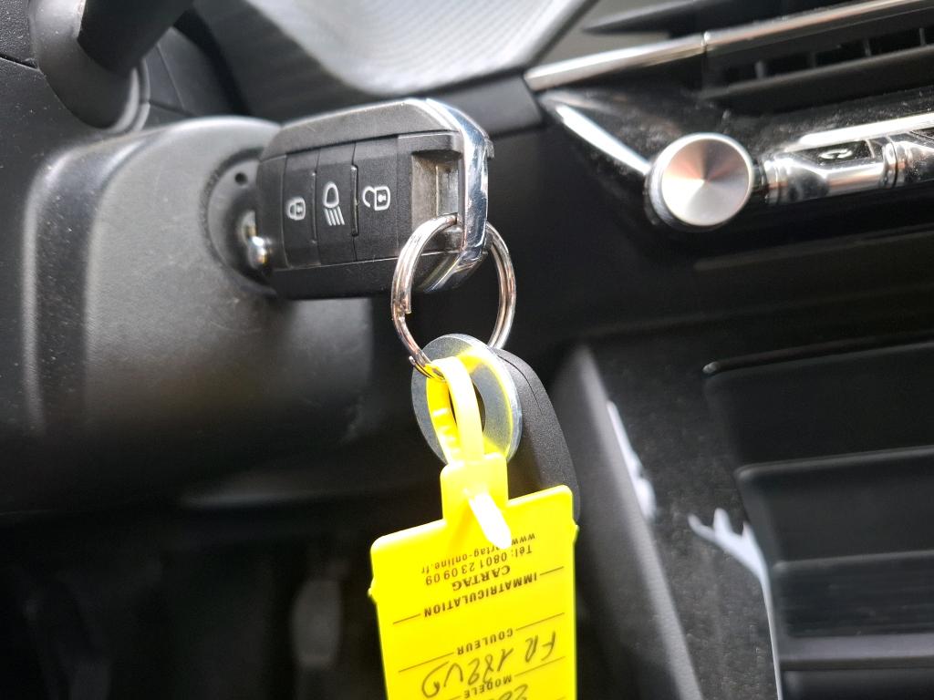 Peugeot 208 BlueHDi 100 S&S BVM6 Active 2020