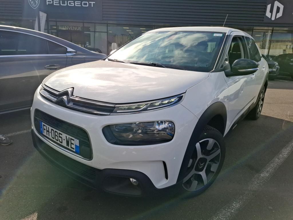 C4 CACTUS