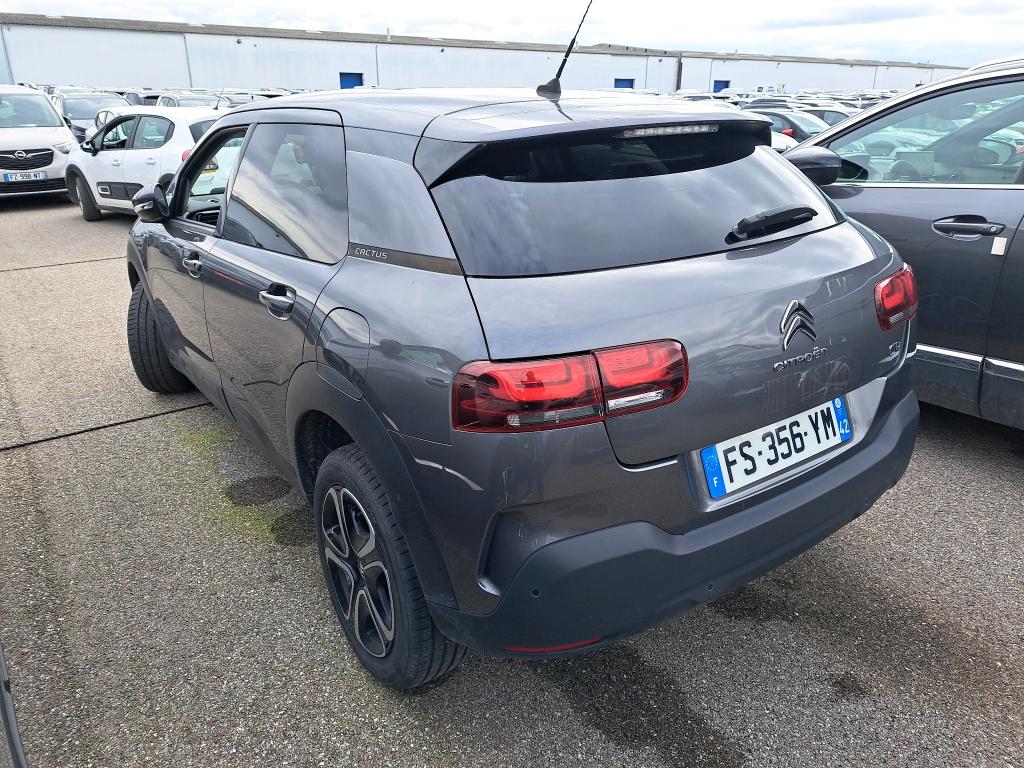 Citroen C4 Cactus BlueHDi 100 S&S BVM6 Feel Business 2020
