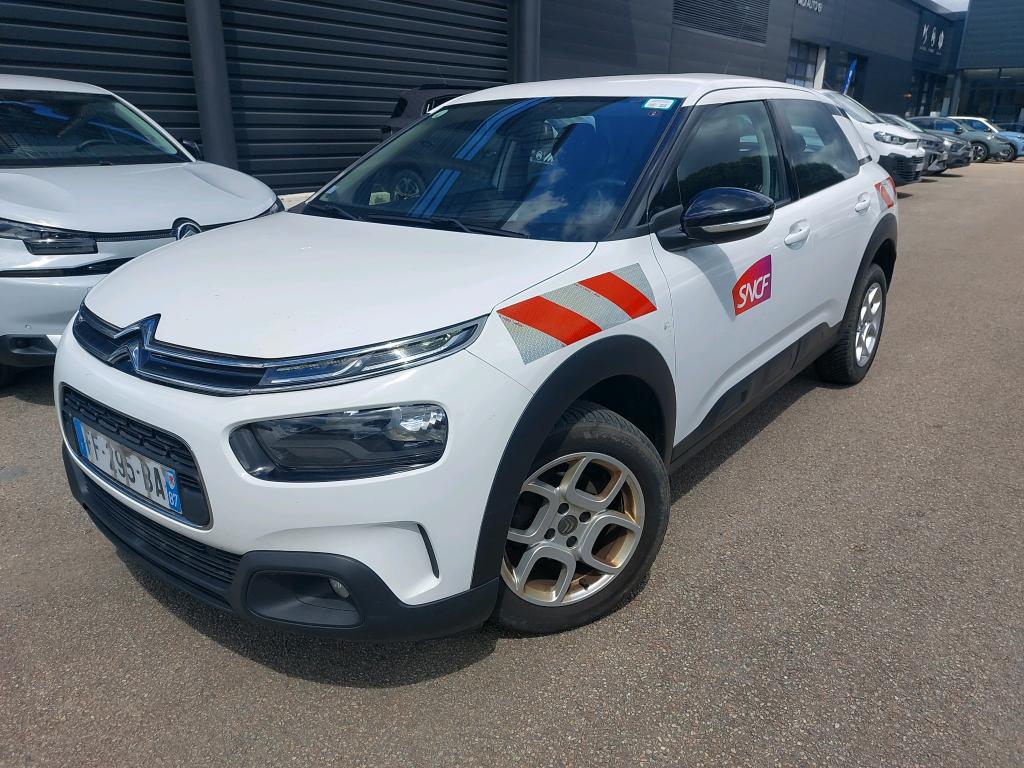 C4 CACTUS