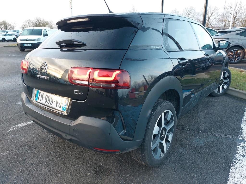 Citroen C4 Cactus PureTech 110 S&S BVM6 Shine Business 2019