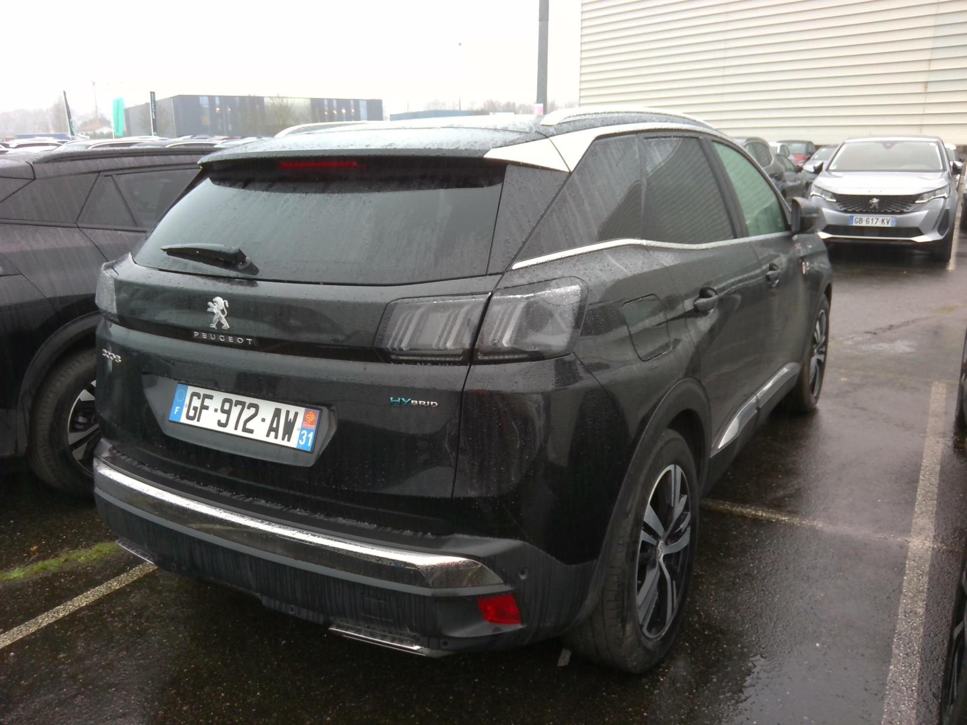 Peugeot NV 3008 SUV 