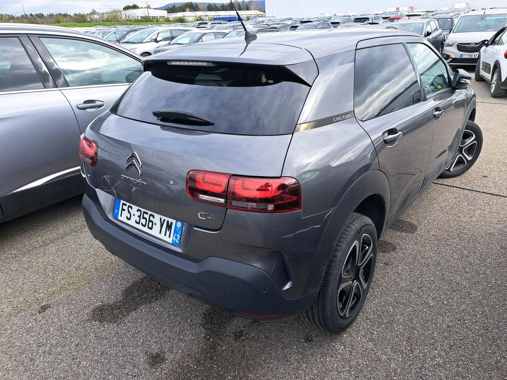 Citroen C4 Cactus BlueHDi 100 S&S BVM6 Feel Business 2020