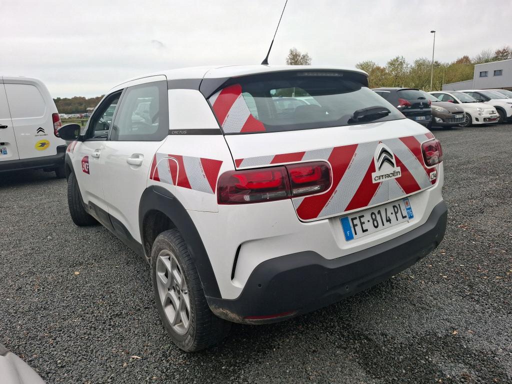 Citroen C4 Cactus BlueHDi 100 S&S BVM6 Feel 2019