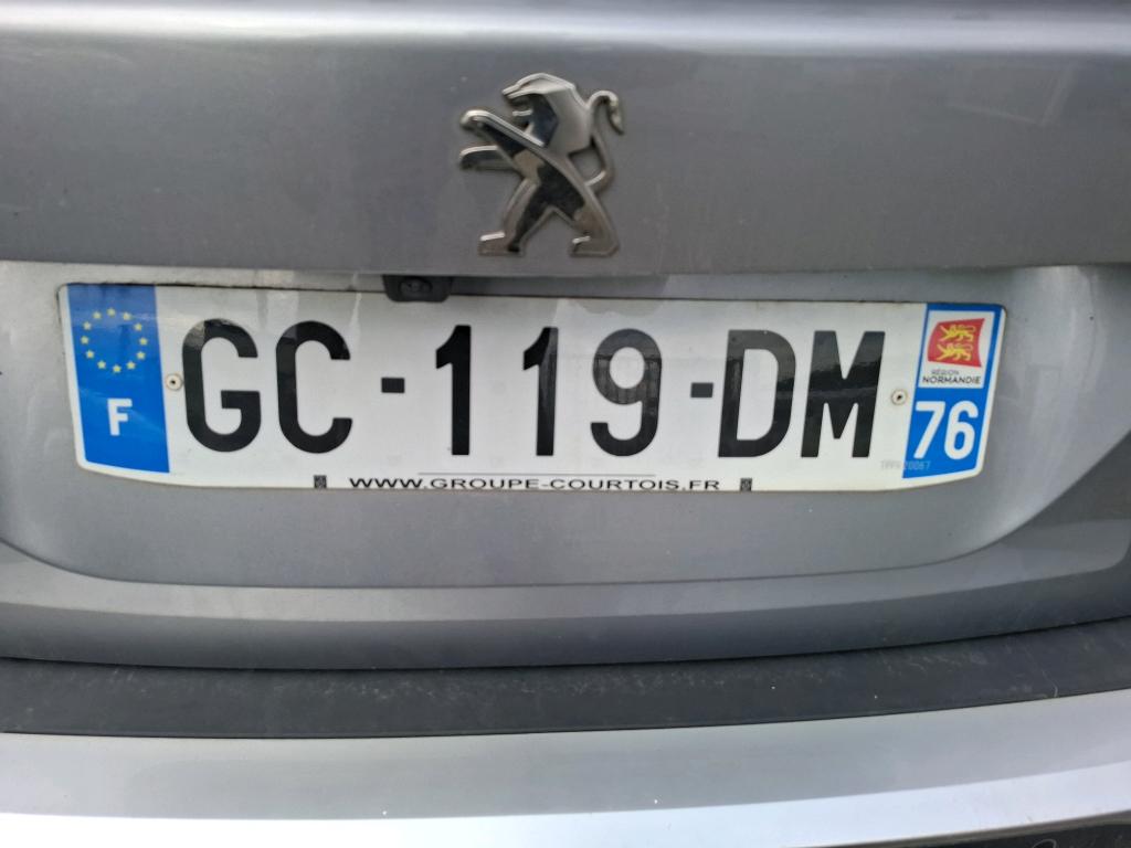 Peugeot 2008 BlueHDi 110 S&S BVM6 Active Business 2021