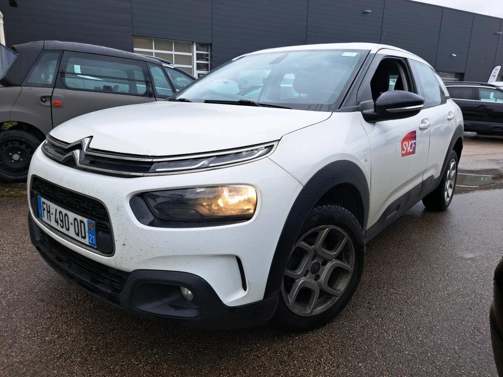 C4 CACTUS
