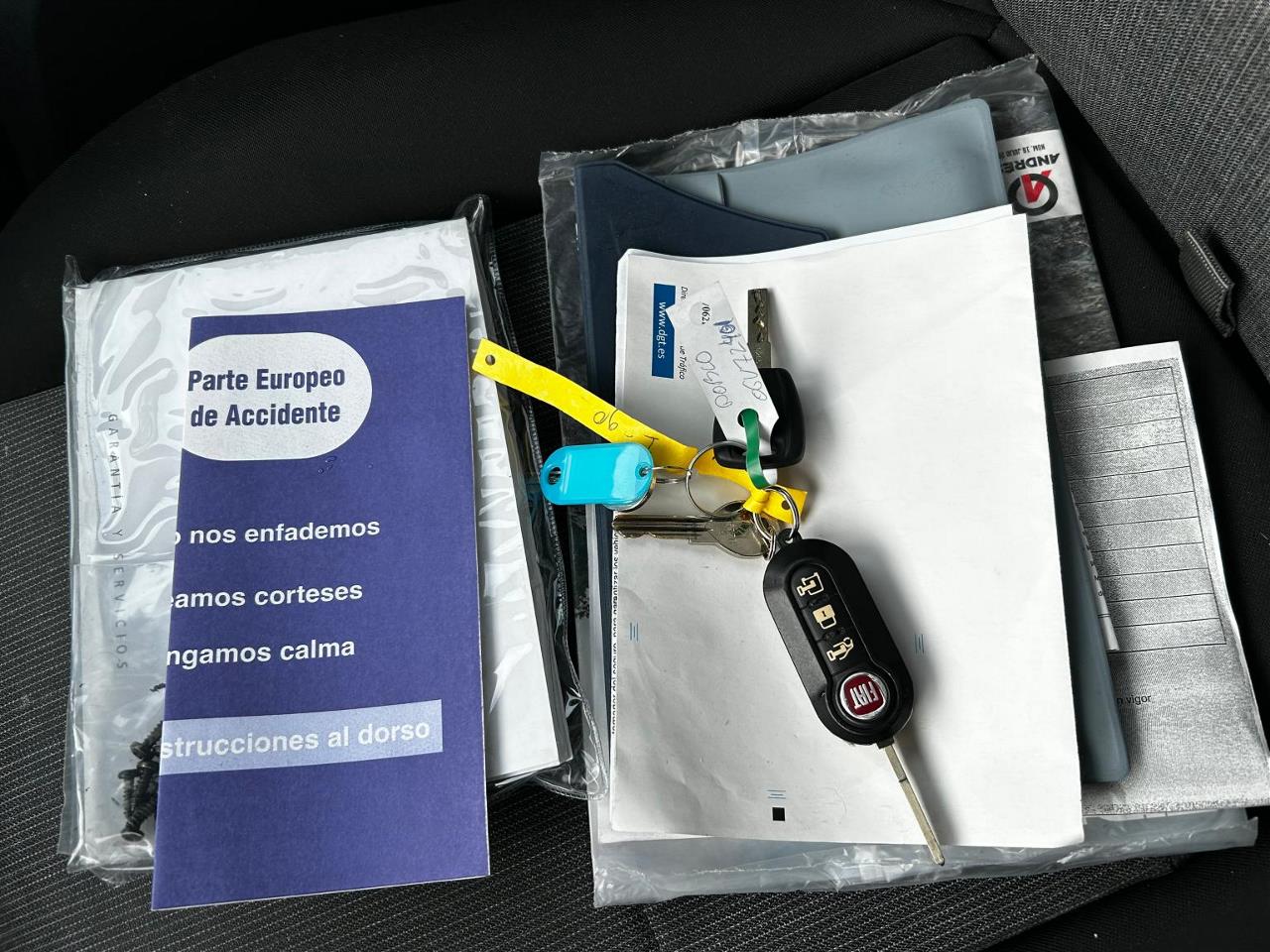 Foto Fiat Doblo Cargo 9