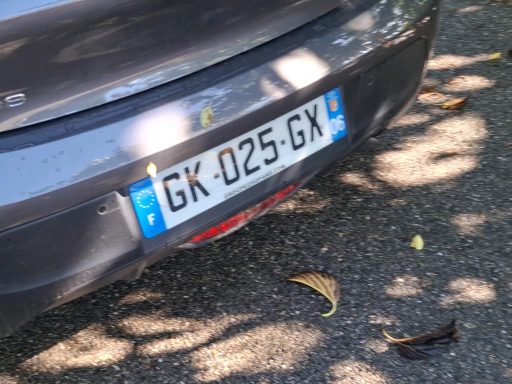 Peugeot 208 PureTech 100 S&S BVM6 Active Pack 2022