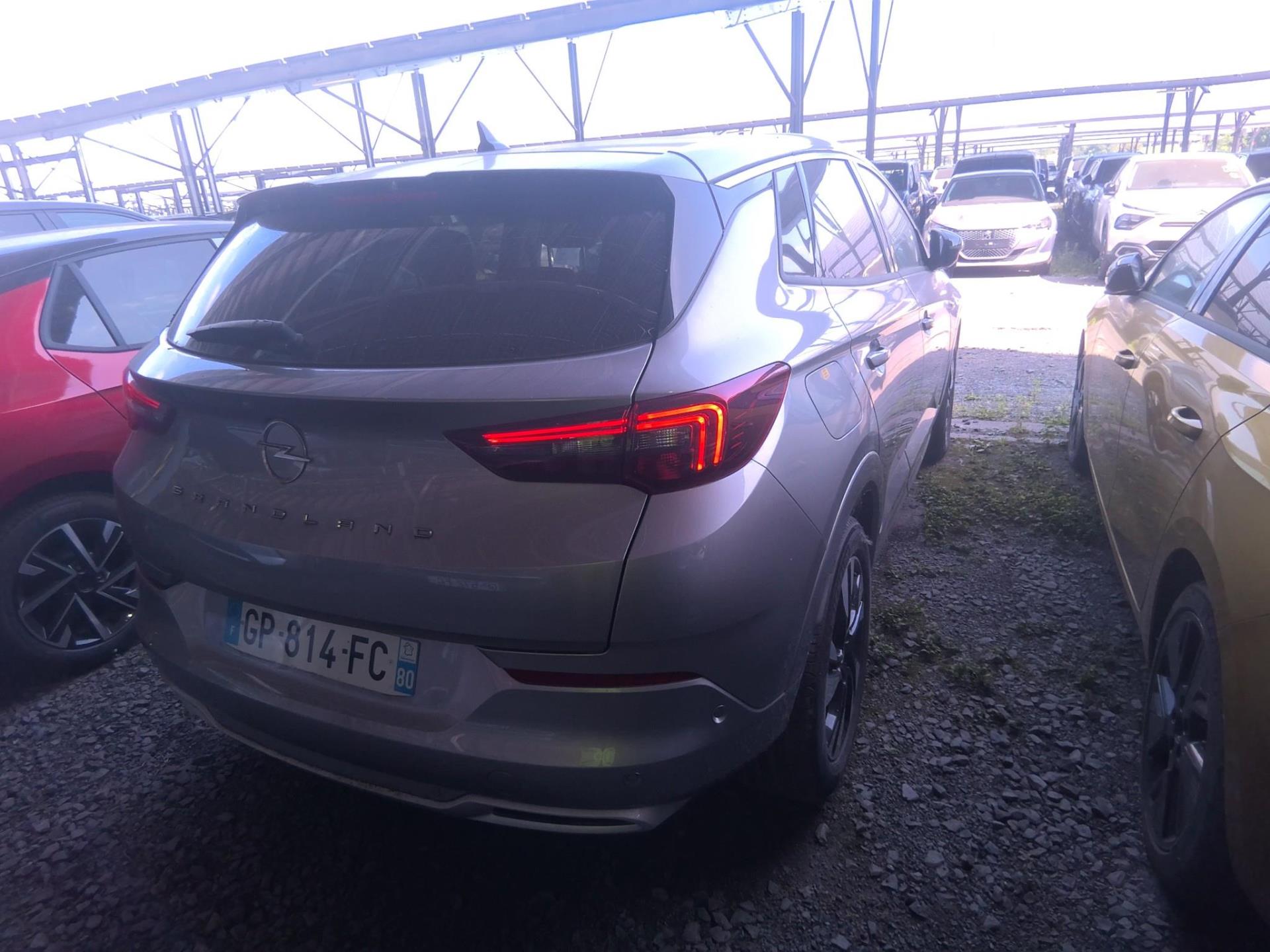 Opel Grandland 1.5 Diesel 130 ch BVA8 Elegance Business 2023