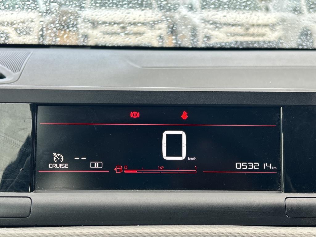 Citroen C4 CACTUS SOCIETE BLUEHDI 100 S&S BVM6 FEEL NAV 2019