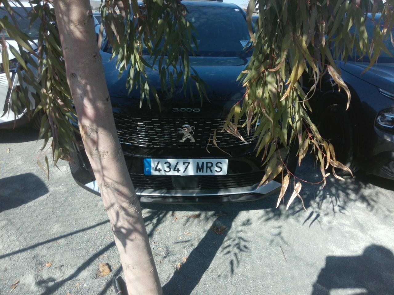 Foto Peugeot 3008 6