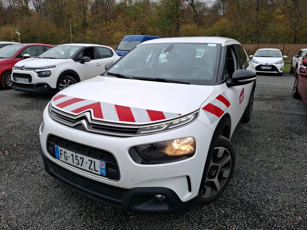 C4 CACTUS