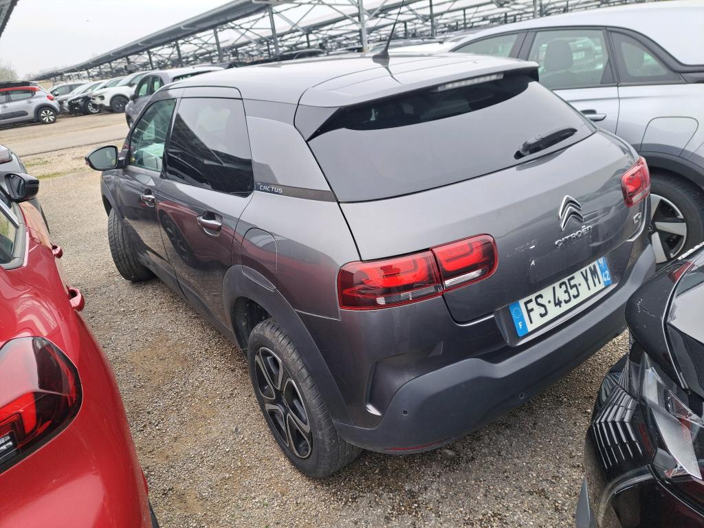 Citroen C4 Cactus BlueHDi 100 S&S BVM6 Feel Business 2020