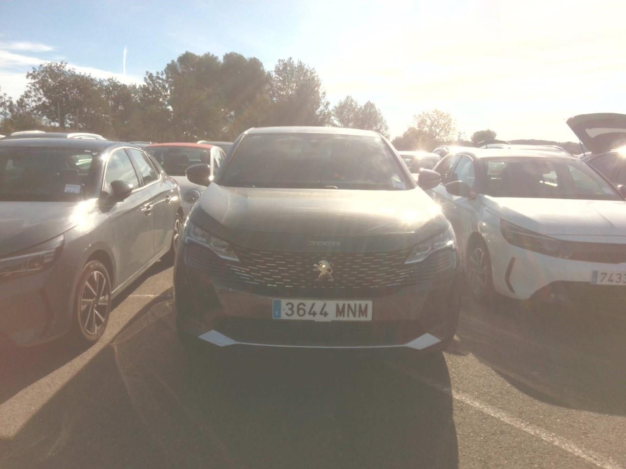 Foto Peugeot 3008 15