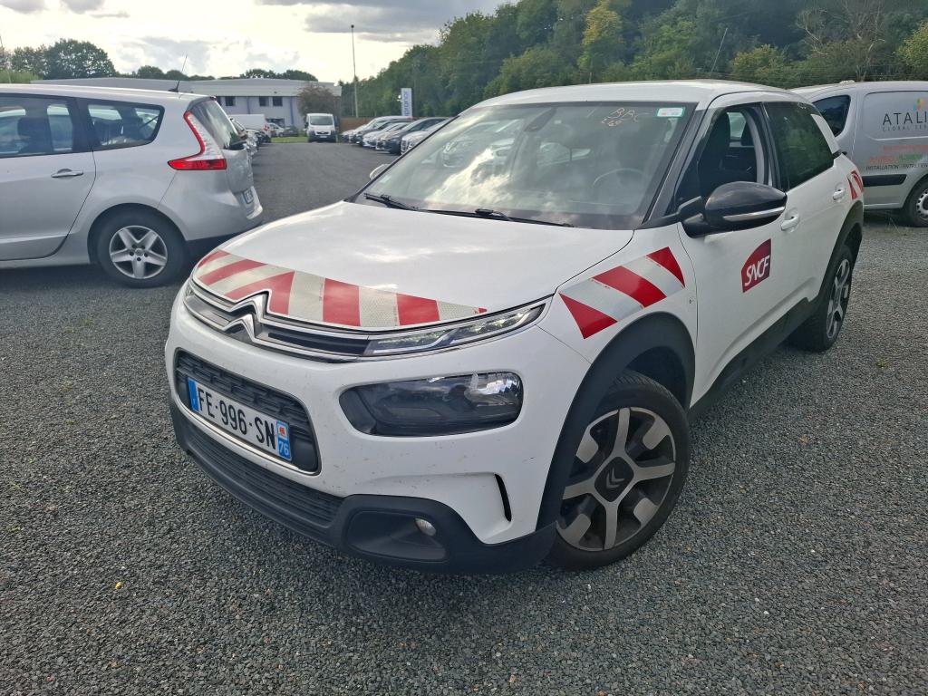 C4 CACTUS