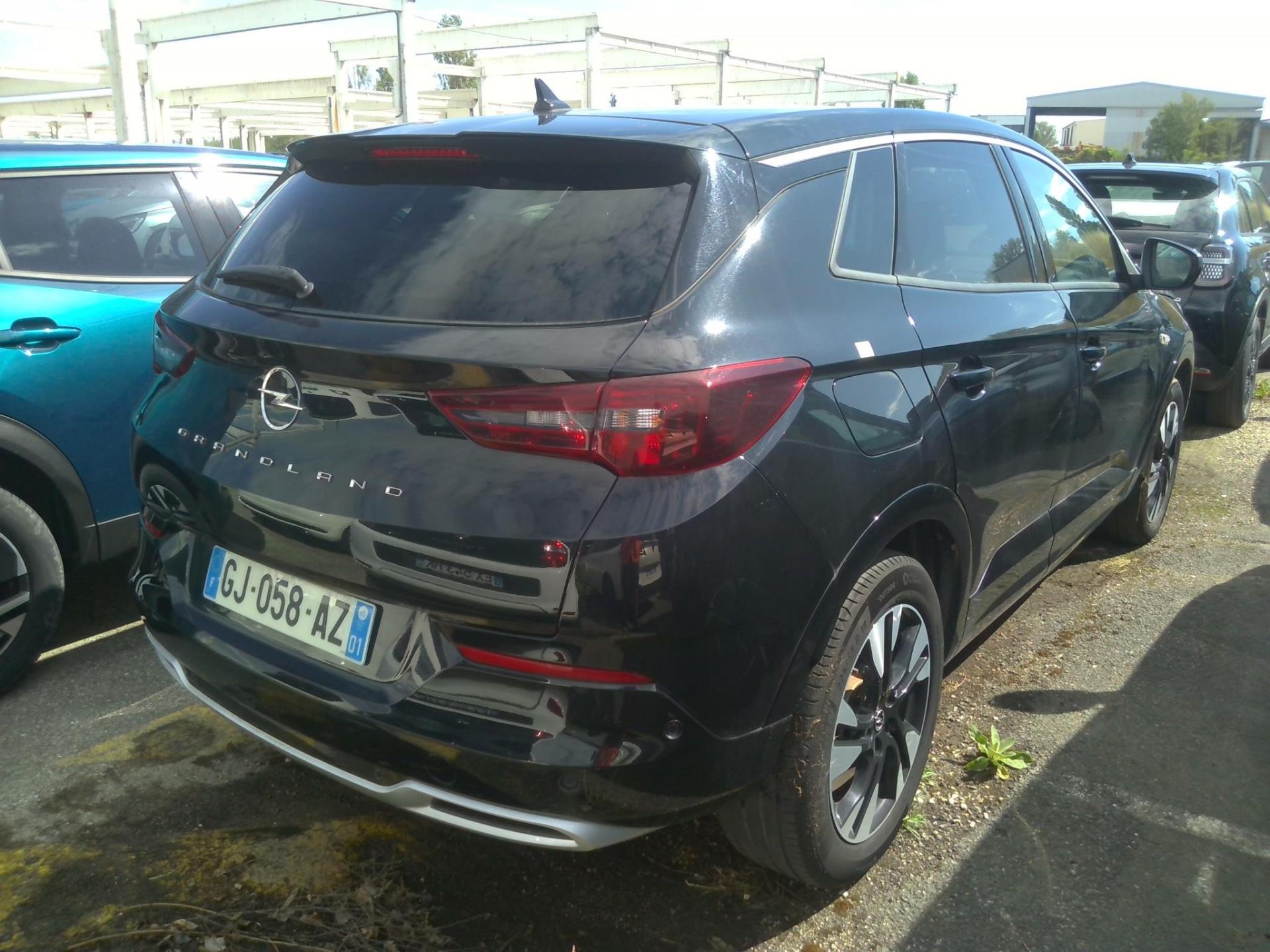 Opel Grandland 1.5 Diesel 130 ch BVA8 Elegance Business 2022