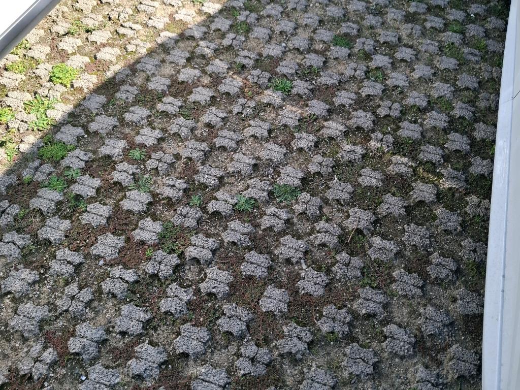 Citroen C3 PureTech 83 ch BVM5 You 2023