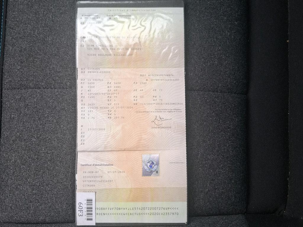 Citroen C4 Cactus BlueHDi 100 S&S BVM6 Shine 2020