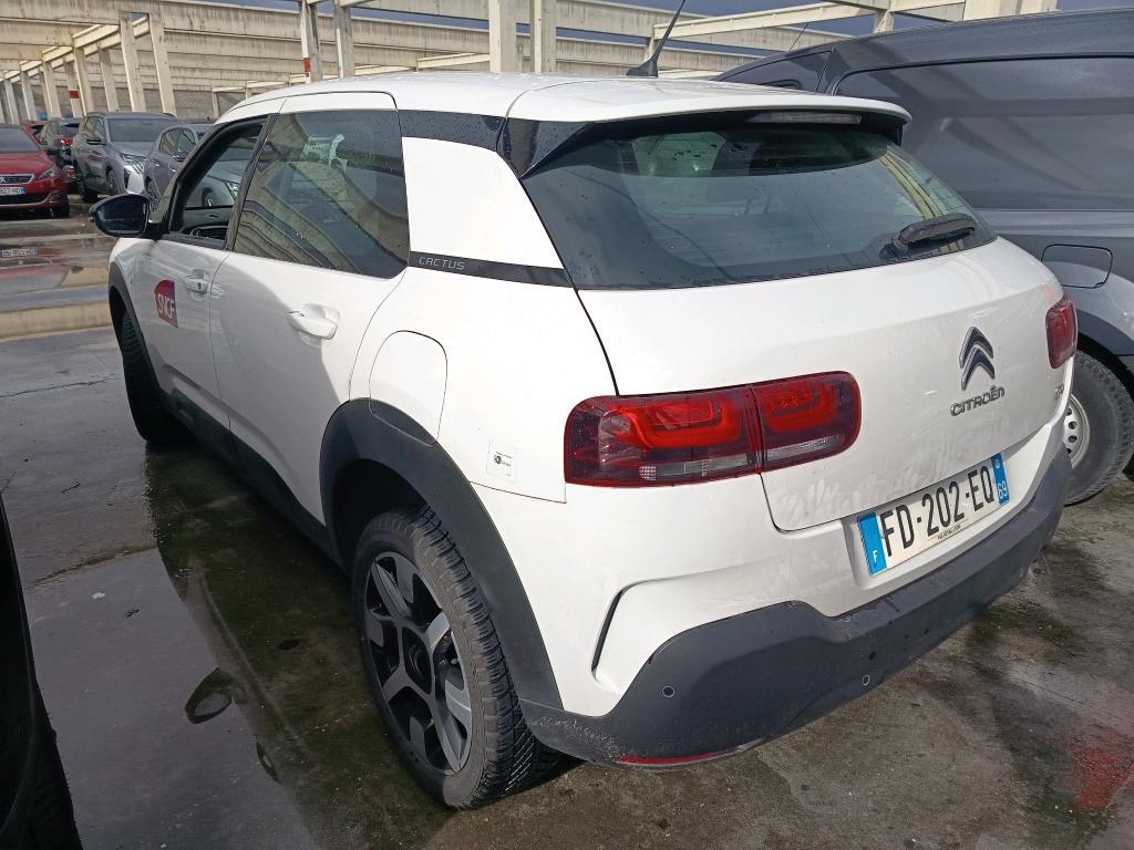 Citroen C4 Cactus BlueHDi 100 S&S BVM6 Feel 2019